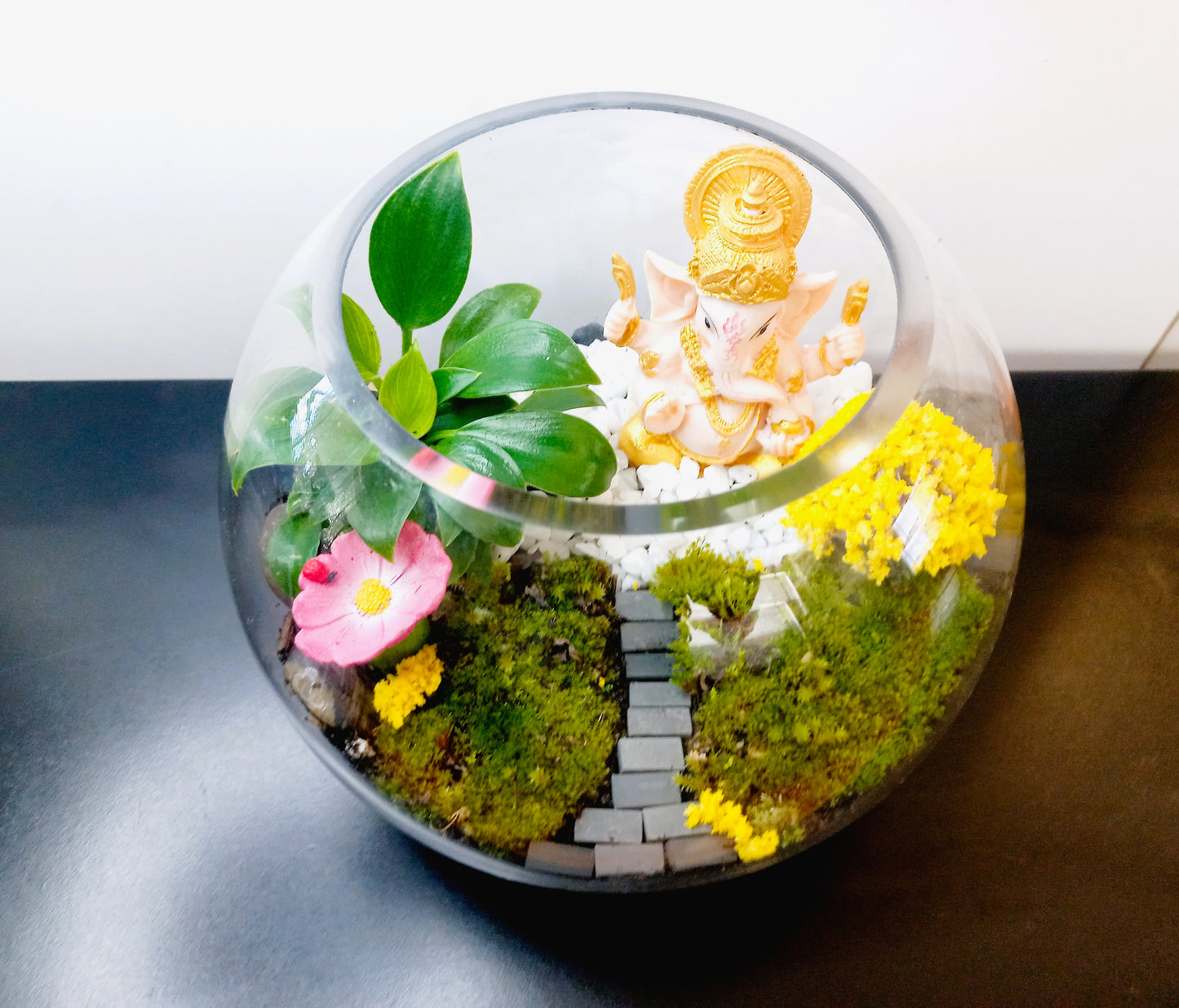 ๐ฟ The Ganesh Moss Terrarium ๐ฟ
