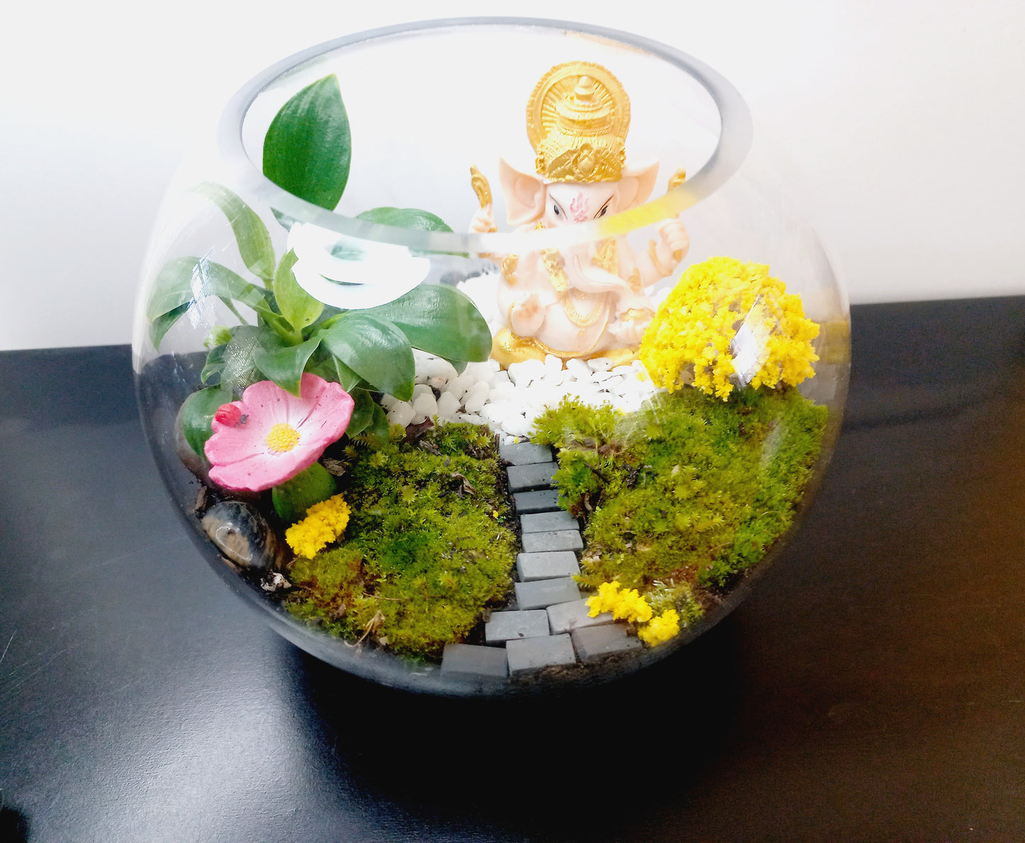 ๐ฟ The Ganesh Moss Terrarium ๐ฟ