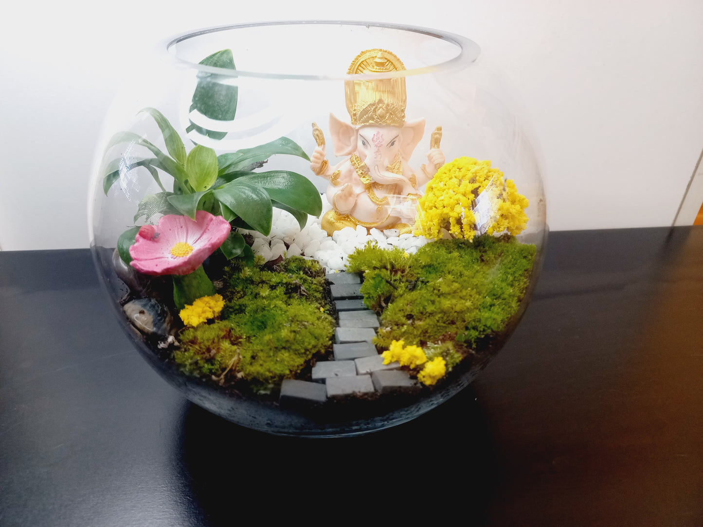 ๐ฟ The Ganesh Moss Terrarium ๐ฟ