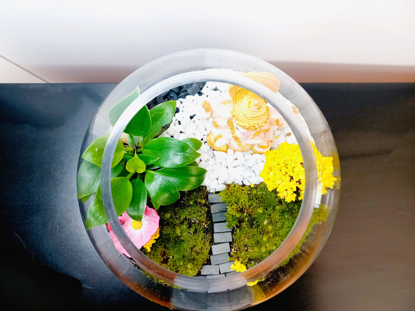 ๐ฟ The Ganesh Moss Terrarium ๐ฟ