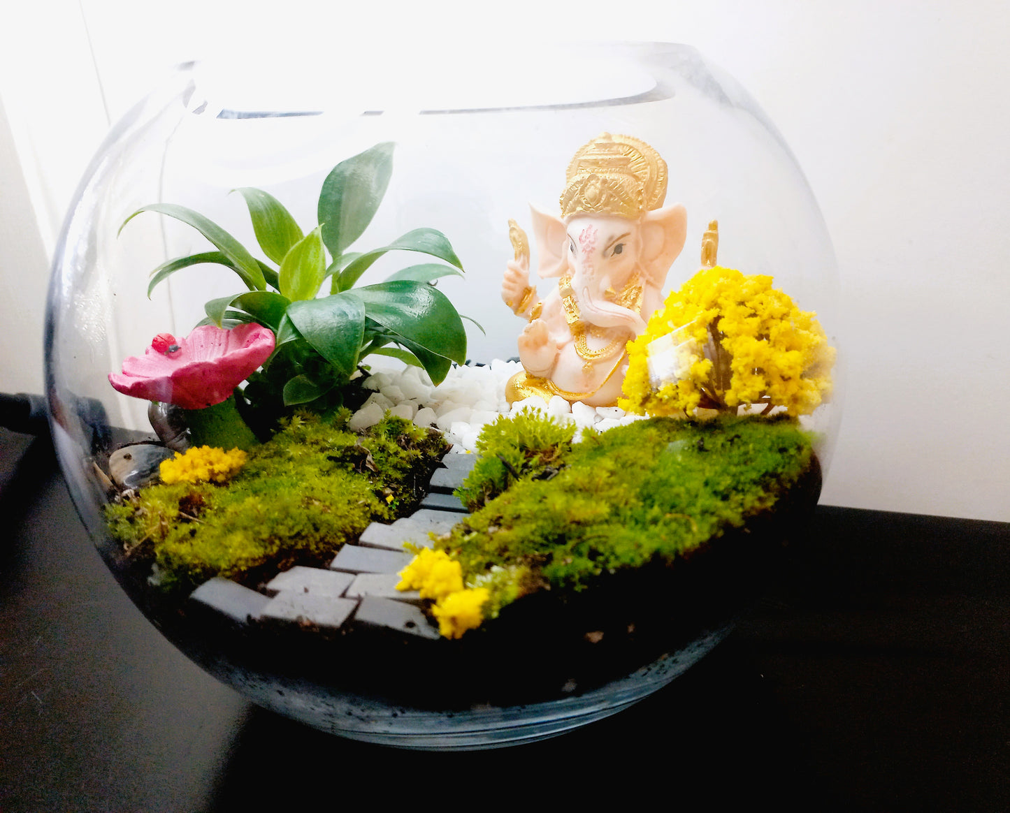 ๐ฟ The Ganesh Moss Terrarium ๐ฟ