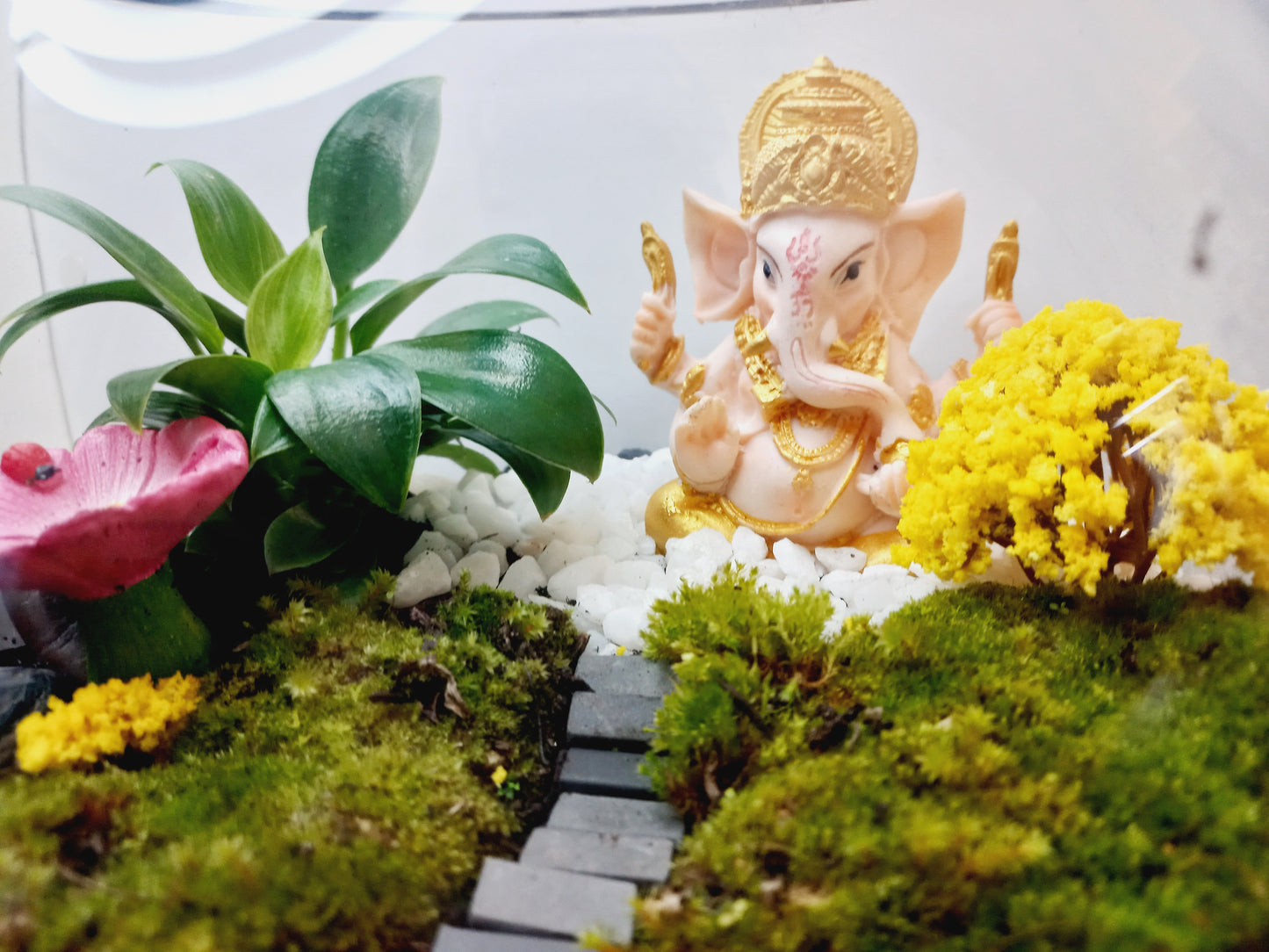 ๐ฟ The Ganesh Moss Terrarium ๐ฟ