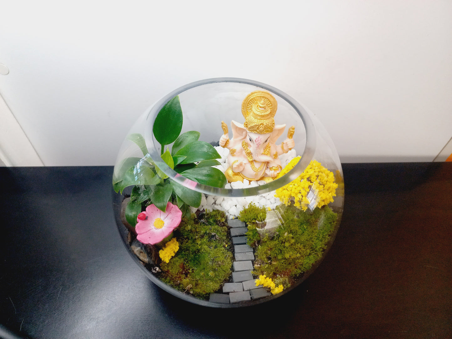 ๐ฟ The Ganesh Moss Terrarium ๐ฟ