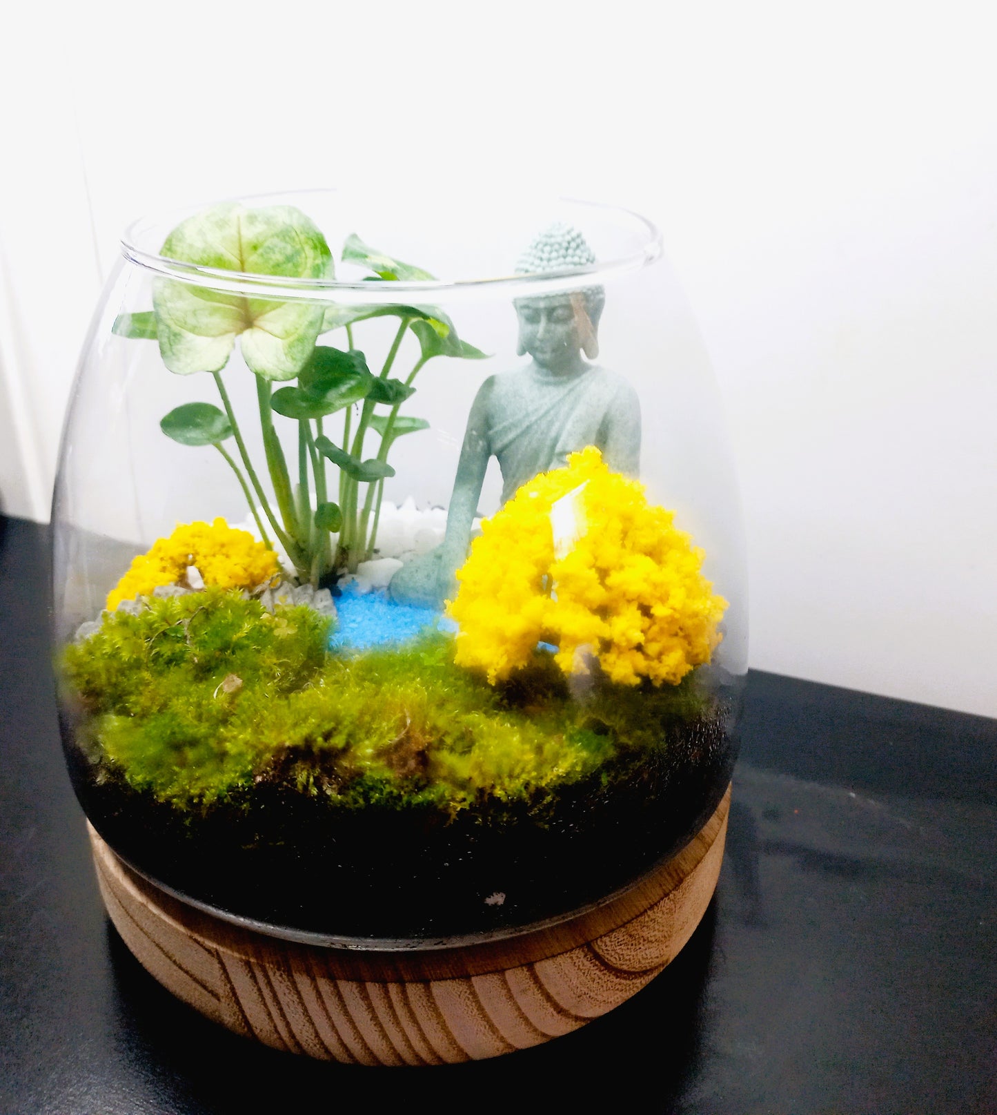 πΏ The Buddha Garden β Serene Moss Terrarium πΏ