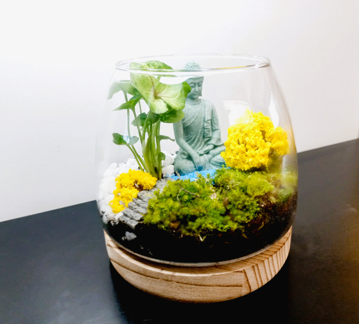 πΏ The Buddha Garden β Serene Moss Terrarium πΏ