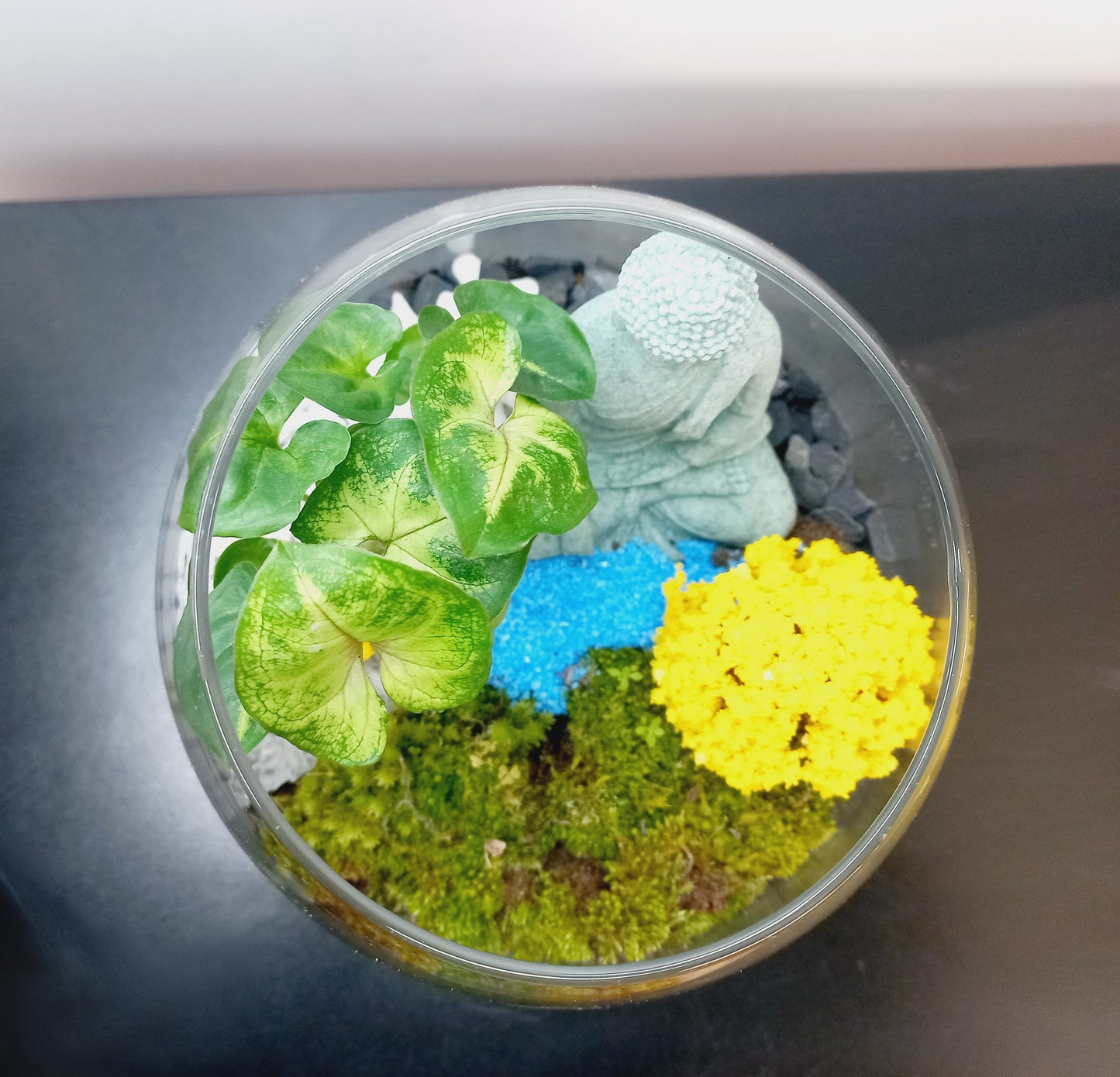 πΏ The Buddha Garden β Serene Moss Terrarium πΏ
