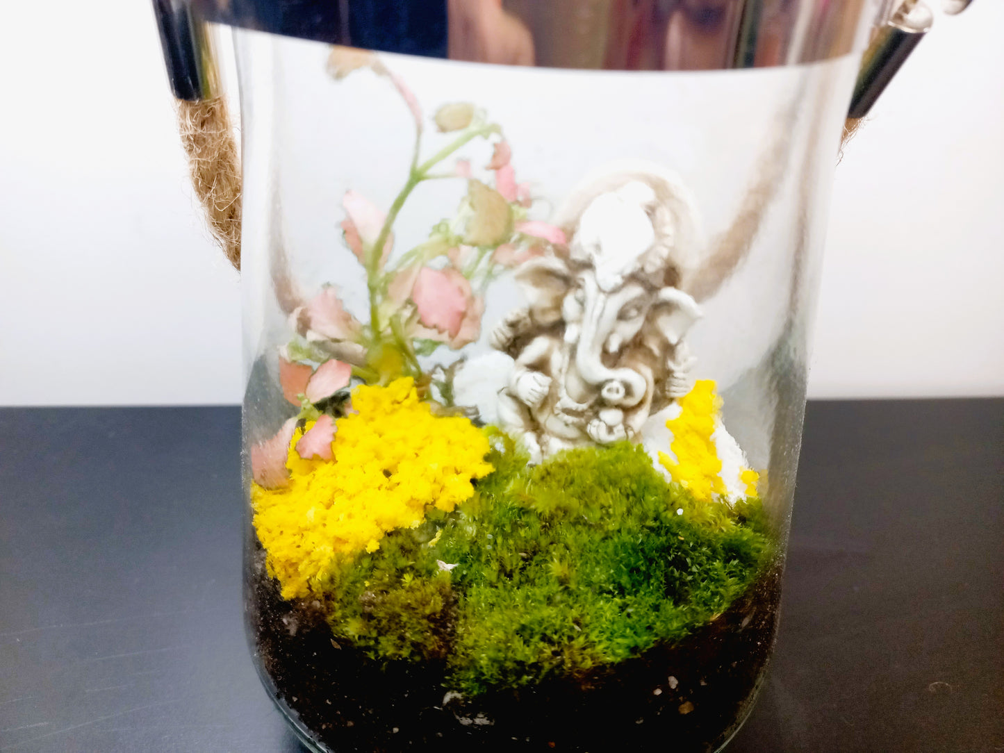 πΏ The Ganesh Hanging Moss Terrarium πΏ