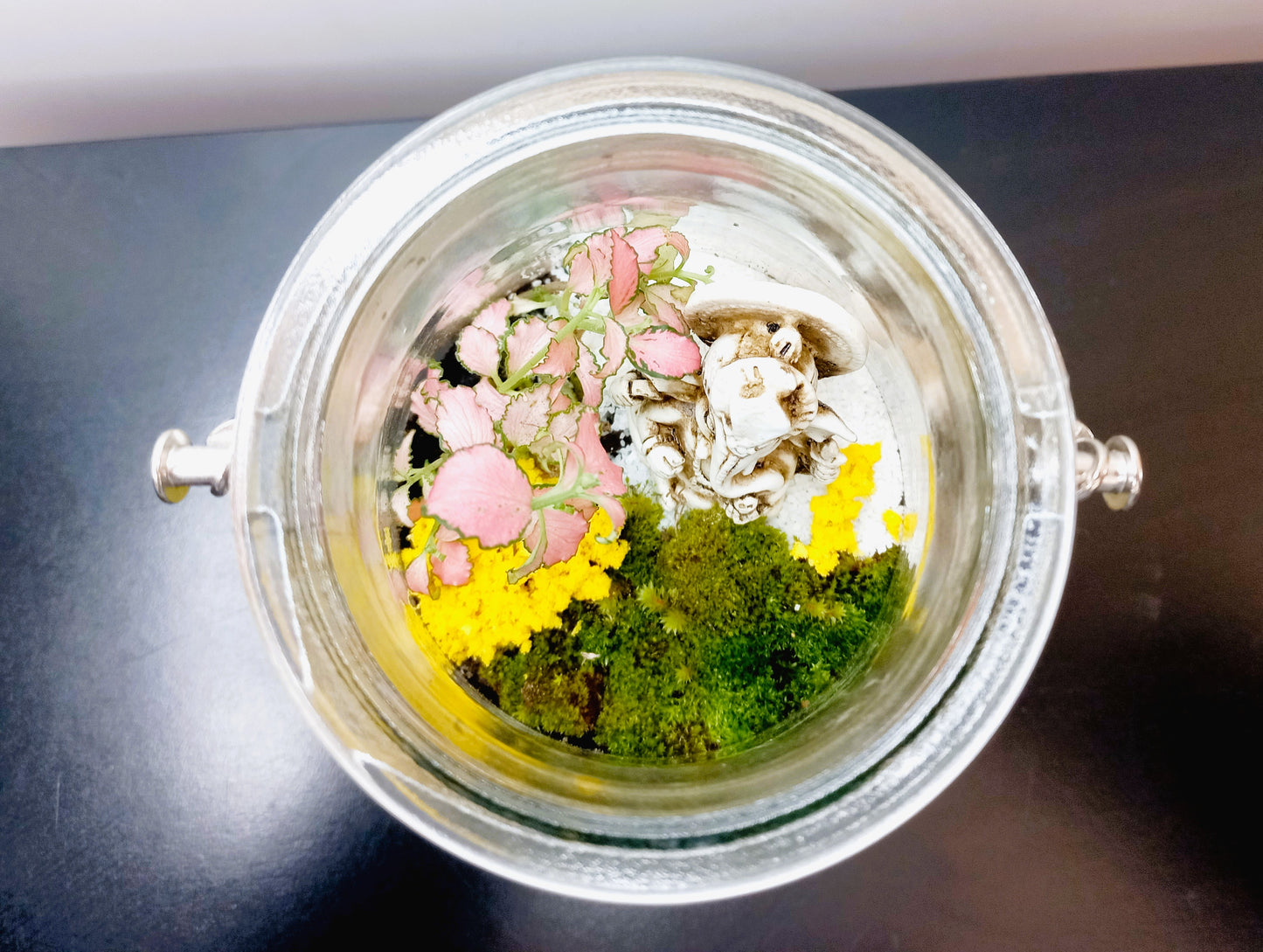 πΏ The Ganesh Hanging Moss Terrarium πΏ