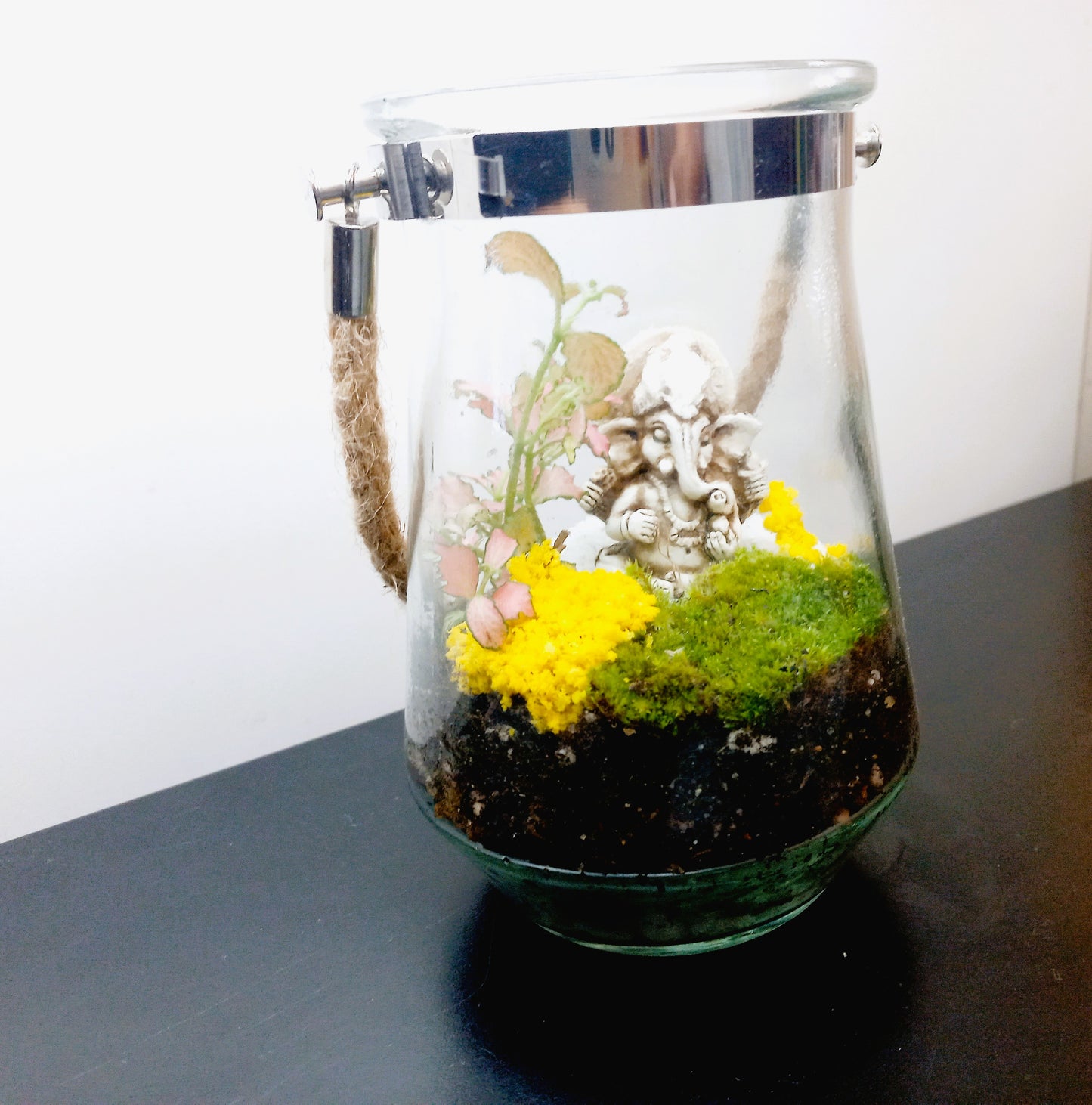 πΏ The Ganesh Hanging Moss Terrarium πΏ
