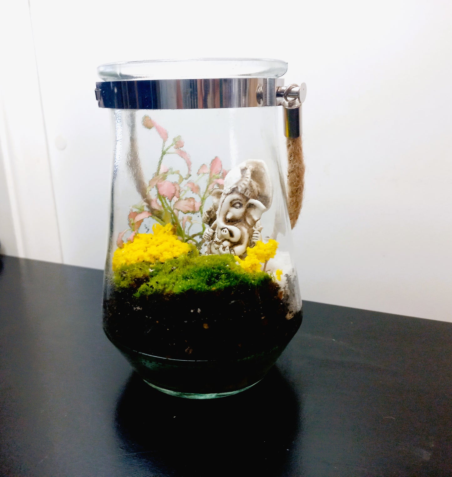 πΏ The Ganesh Hanging Moss Terrarium πΏ