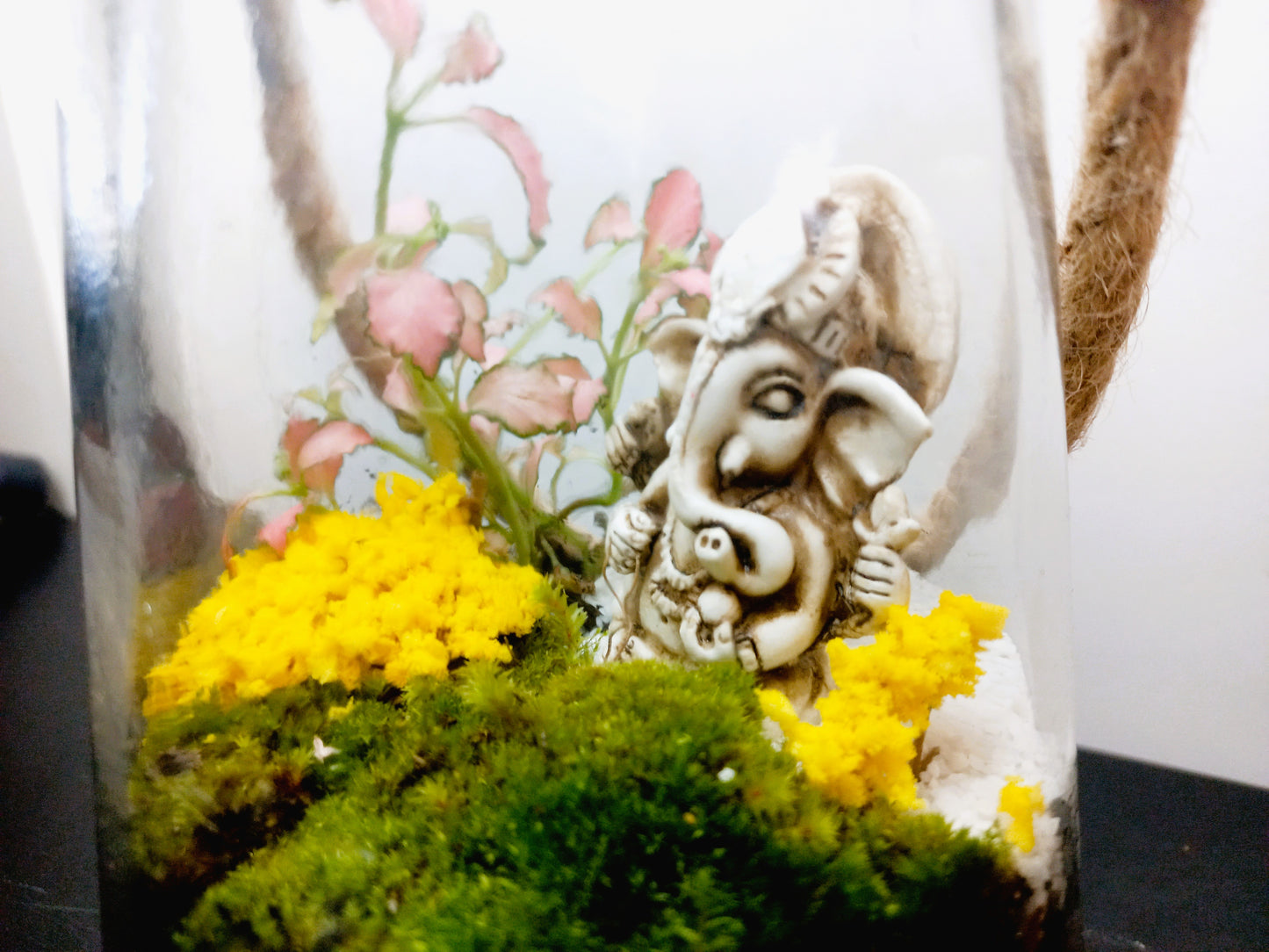 πΏ The Ganesh Hanging Moss Terrarium πΏ