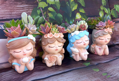 Fairy Tale Princess Succulent Arrangements - 11cmH