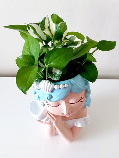 Large fairy Face indoor planter pot - Listening to shell girl - Collection only