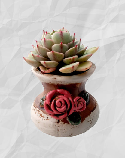 Hand painted floral patterned Succulent pots