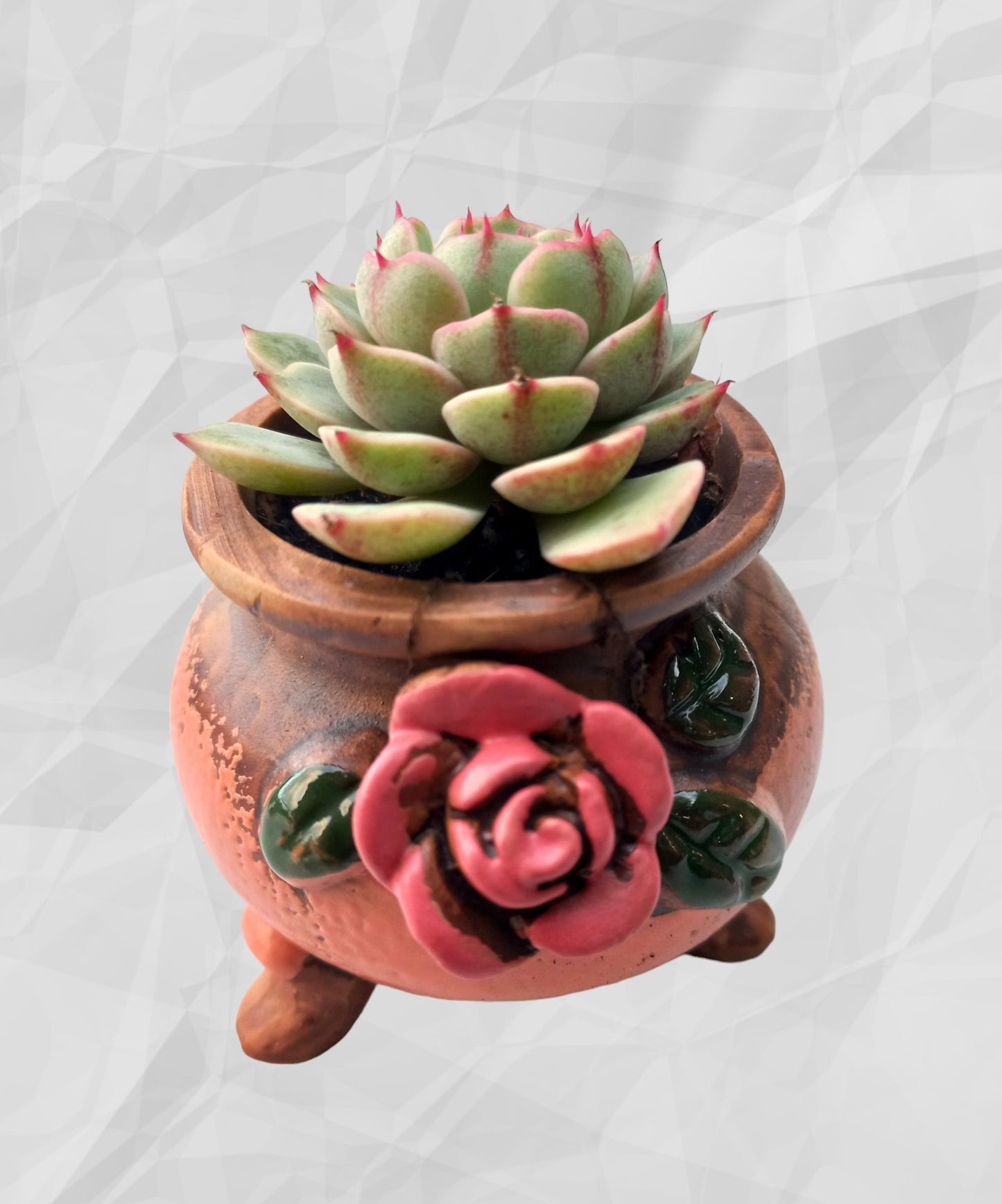 Hand painted floral patterned Succulent pots