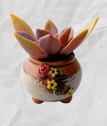 Hand painted floral patterned Succulent pots