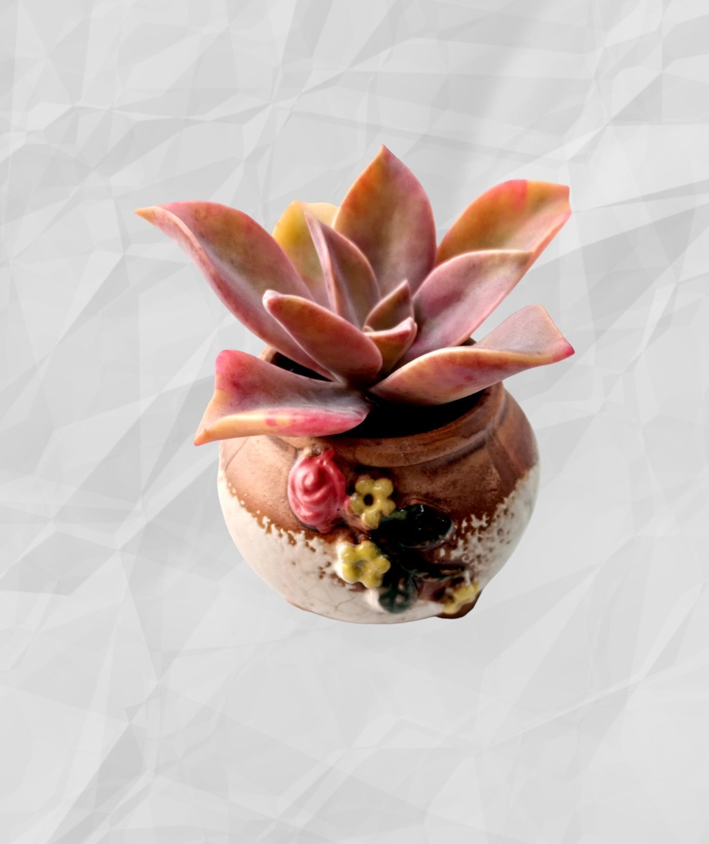 Hand painted floral patterned Succulent pots