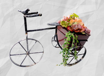 Trike Succulent Planter - Table top