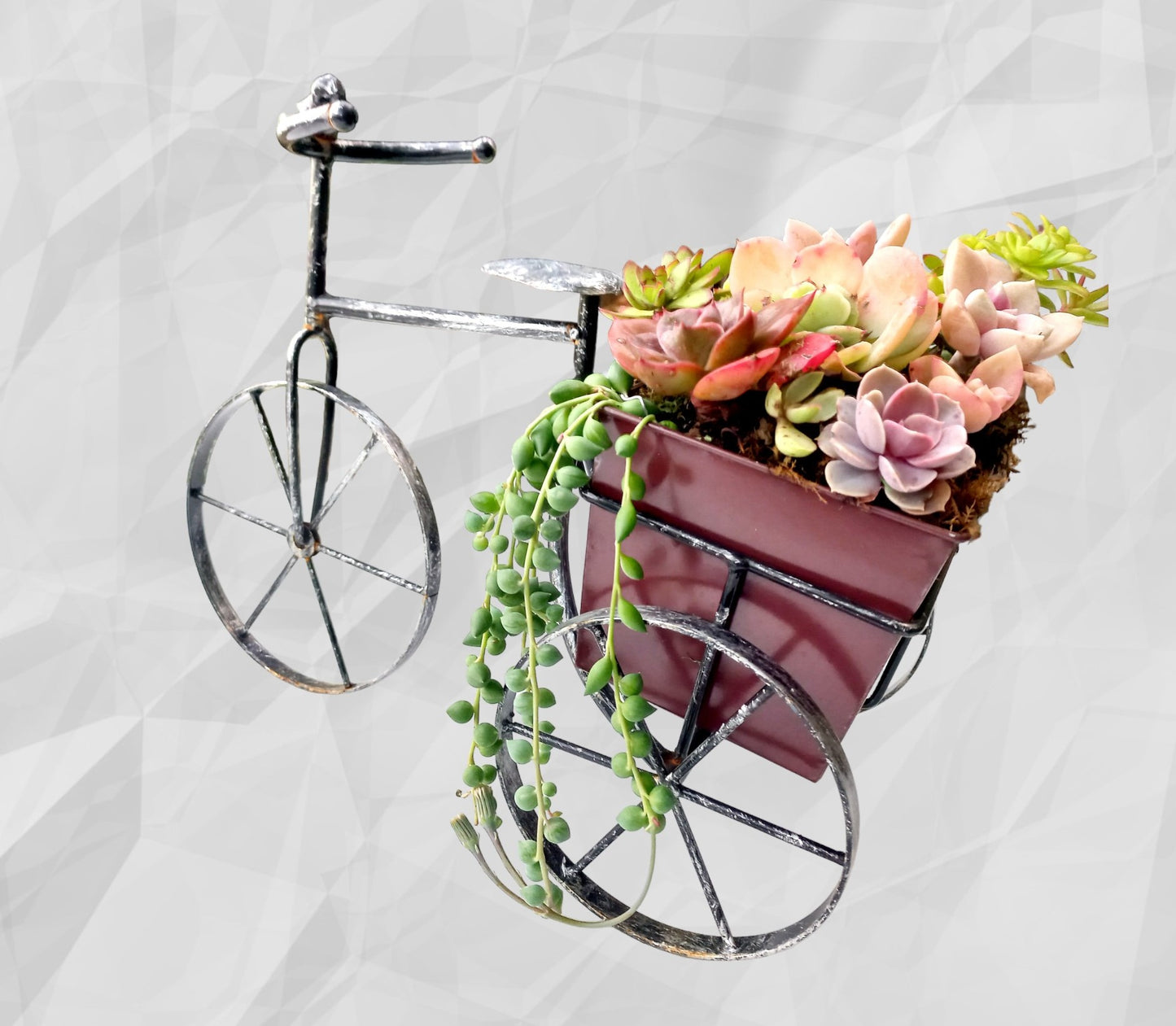 Trike Succulent Planter - Table top