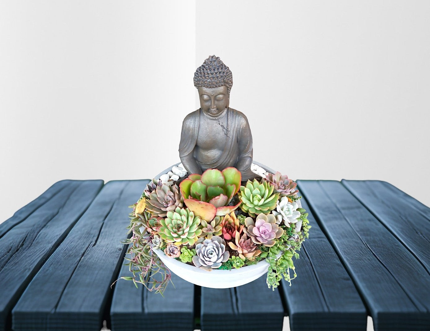 Majestic Buddha Succulent Bowl - In-store collection