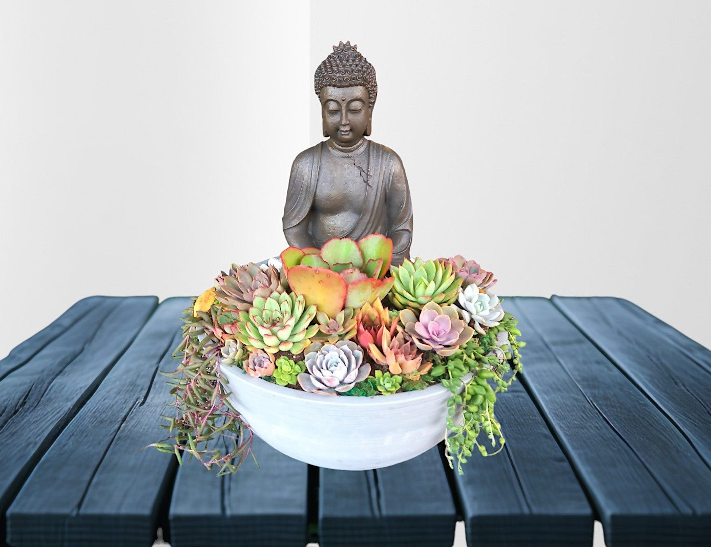 Majestic Buddha Succulent Bowl - In-store collection