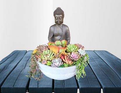 Majestic Buddha Succulent Bowl - In-store collection