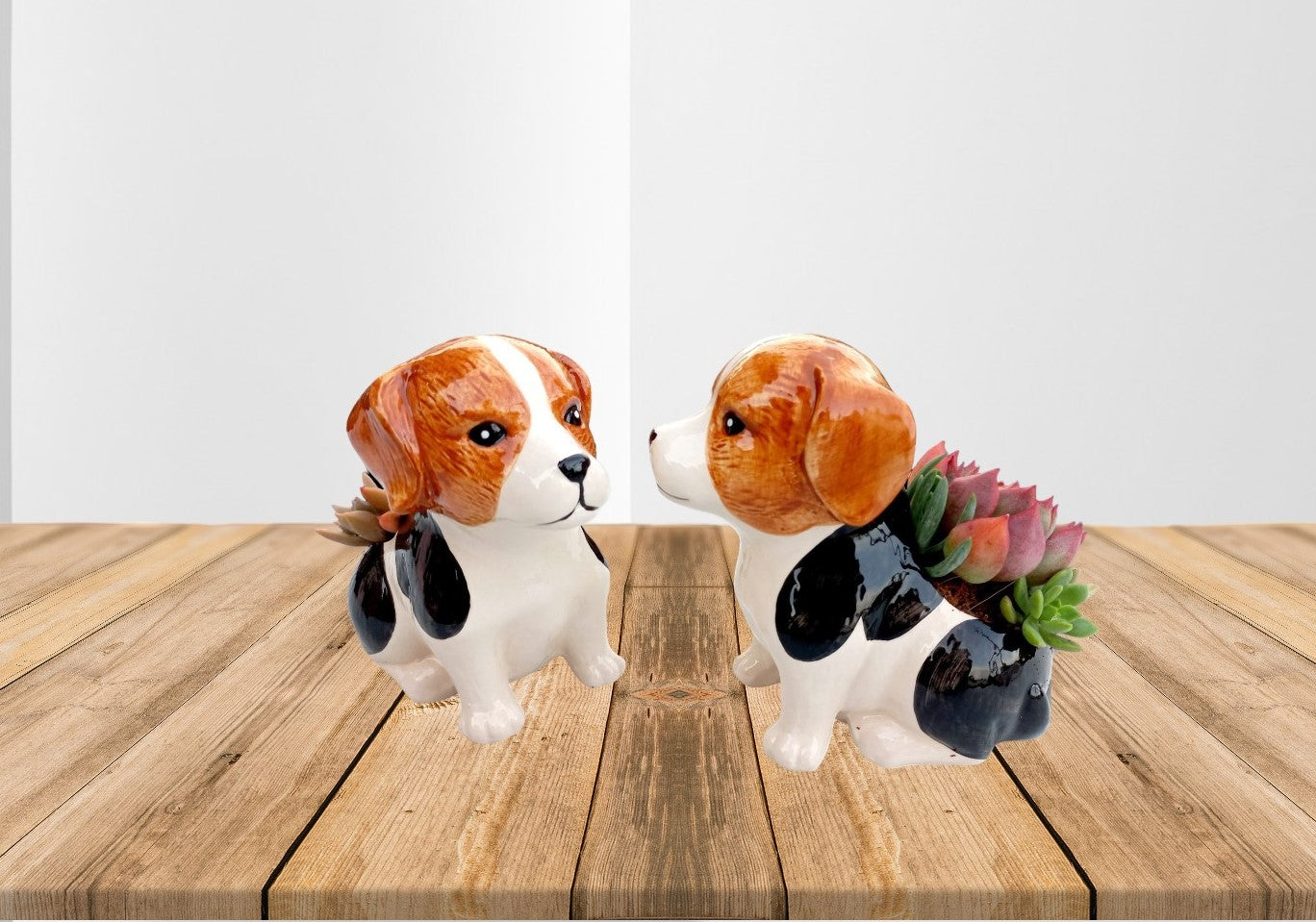 Beagle Succulent pot - For Pet lovers❤️