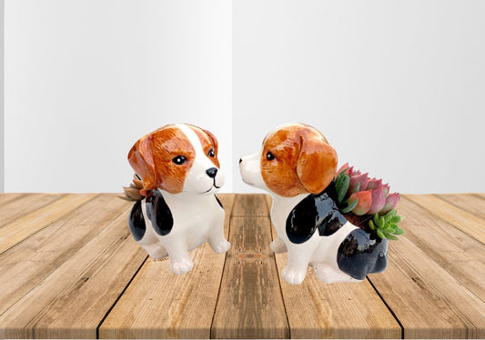 Beagle Succulent pot - For Pet lovers❤️