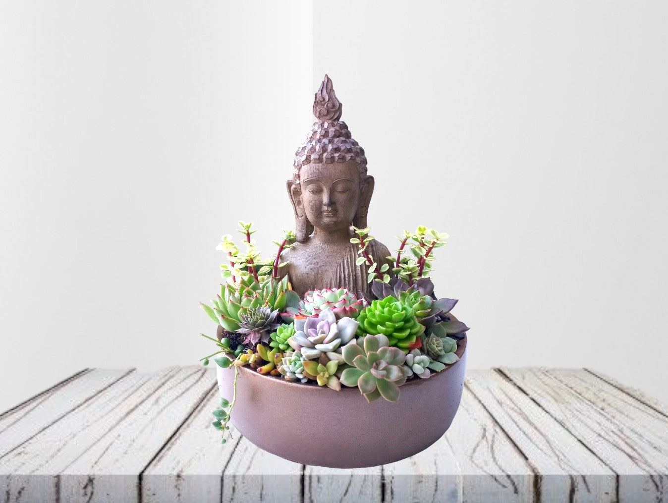 Peaceful Buddha Succulent Pot - In-store collection – Vaibhav Succulents