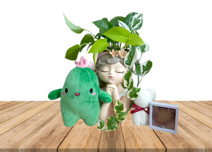 'Thinking of you' Houseplant Gift hamper- Instore collection