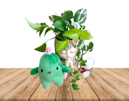 'Thinking of you' Houseplant Gift hamper- Instore collection