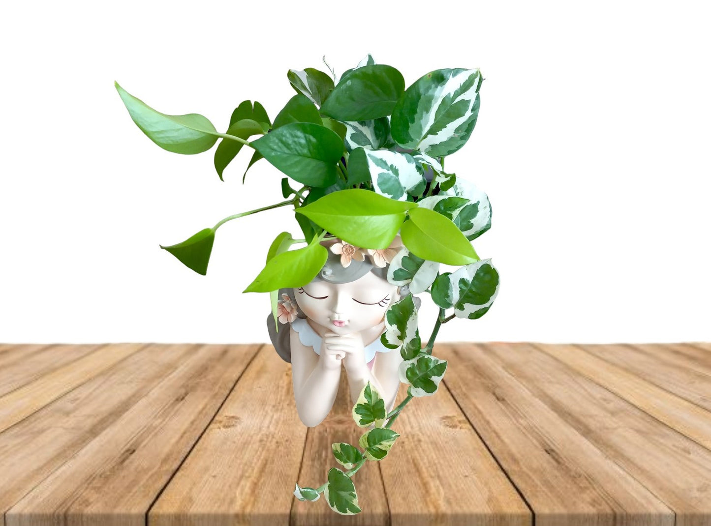 'Thinking of you' Houseplant Gift hamper- Instore collection