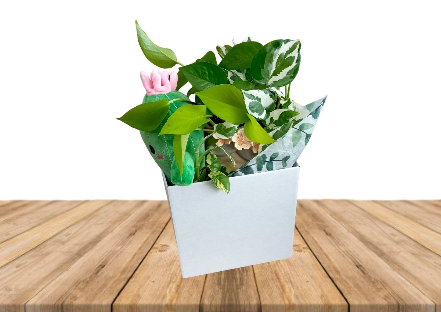 'Thinking of you' Houseplant Gift hamper- Instore collection