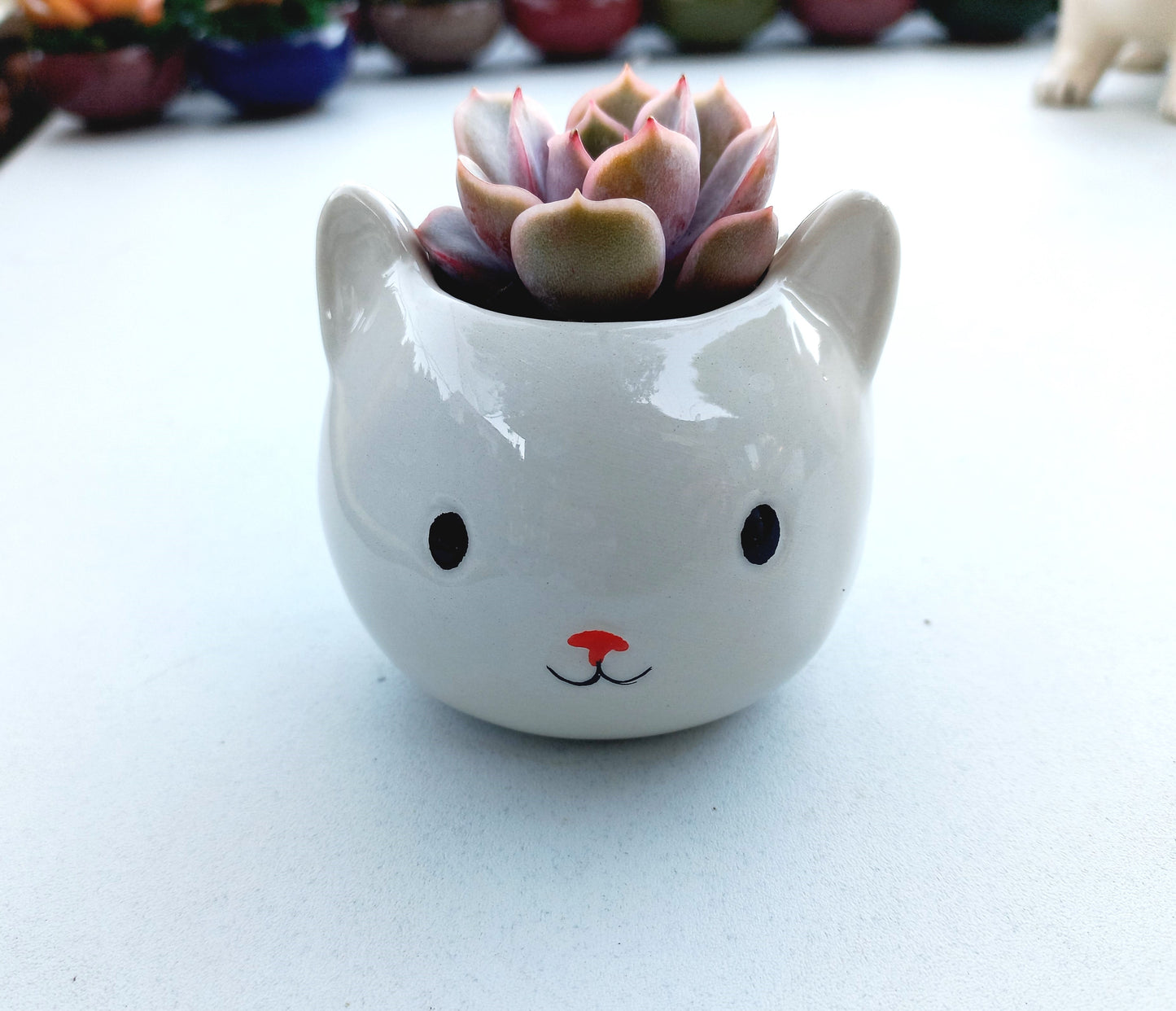 Mini White Cat Succulent pot - For Pet lovers❤️