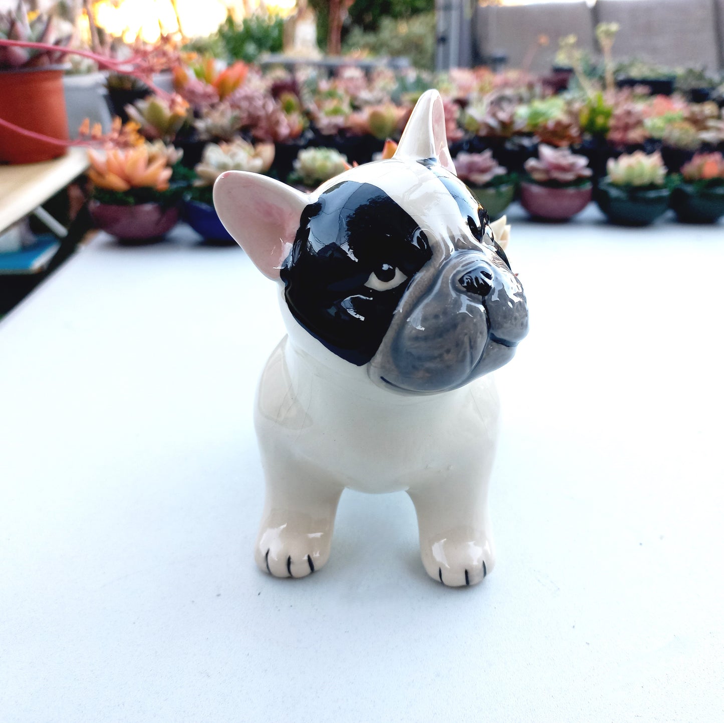 FRENCH Bull dog Succulent pot - For Pet lovers❤️