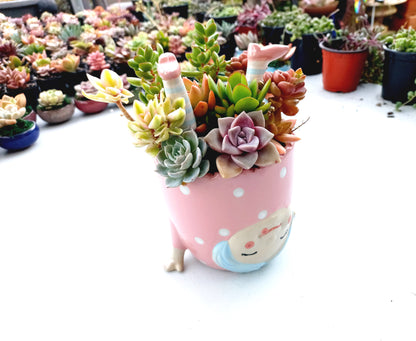 ''Girl doing Handstand'' Pink Succulent Arrangement - In store collection