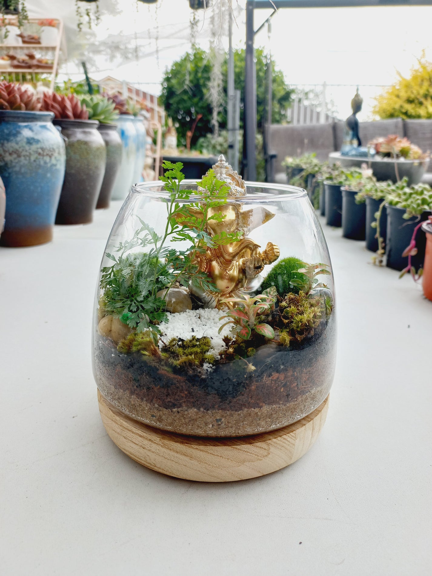 Ganesha's Good luck Terrarium Vaibhav Succulents
