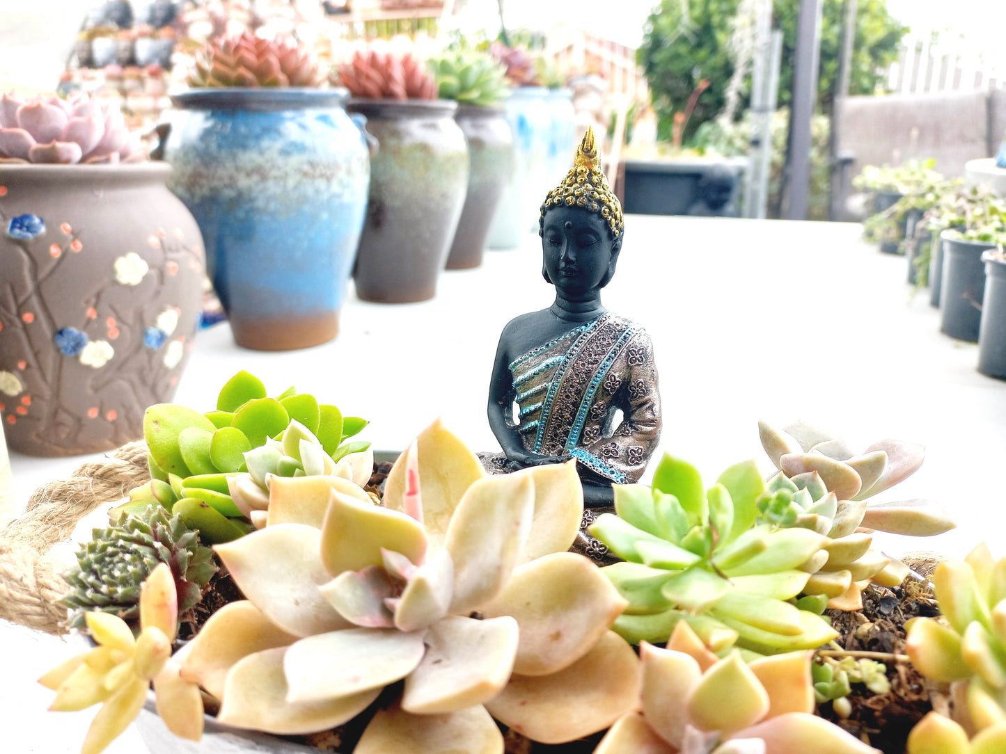 Buddha Succulent Vintage Metal Flowerpot