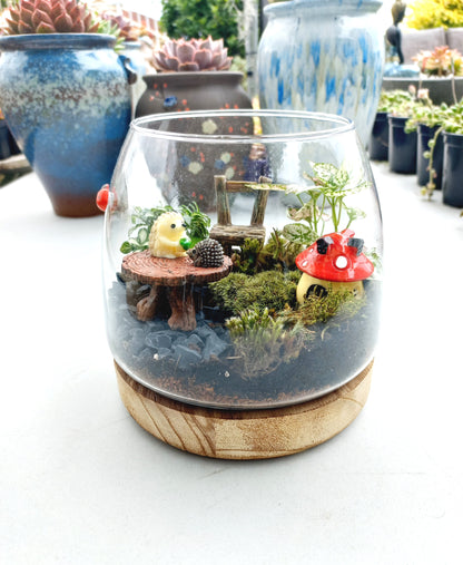 Cute Hedgehogs Terrarium