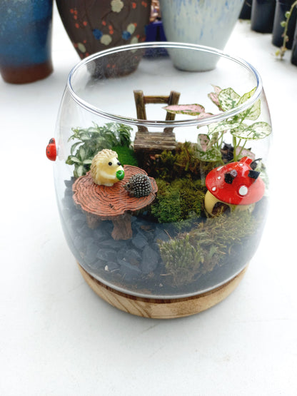 Cute Hedgehogs Terrarium