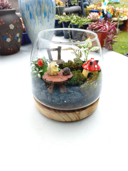 Cute Hedgehogs Terrarium