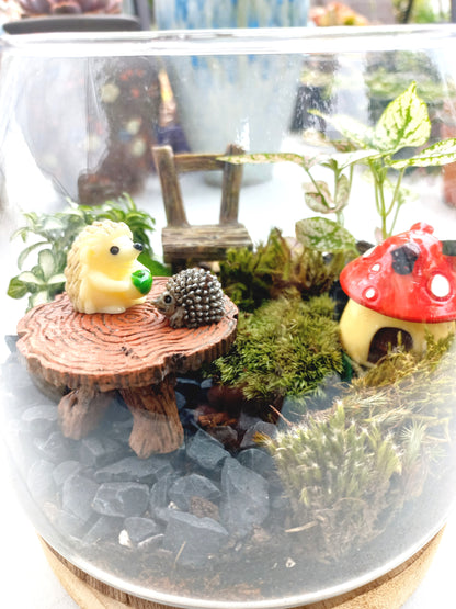 Cute Hedgehogs Terrarium