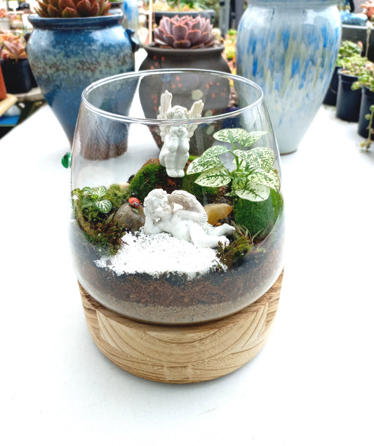 Charming Cherub Terrarium