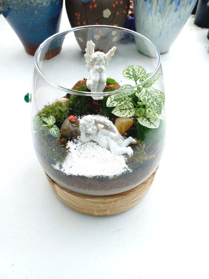 Charming Cherub Terrarium