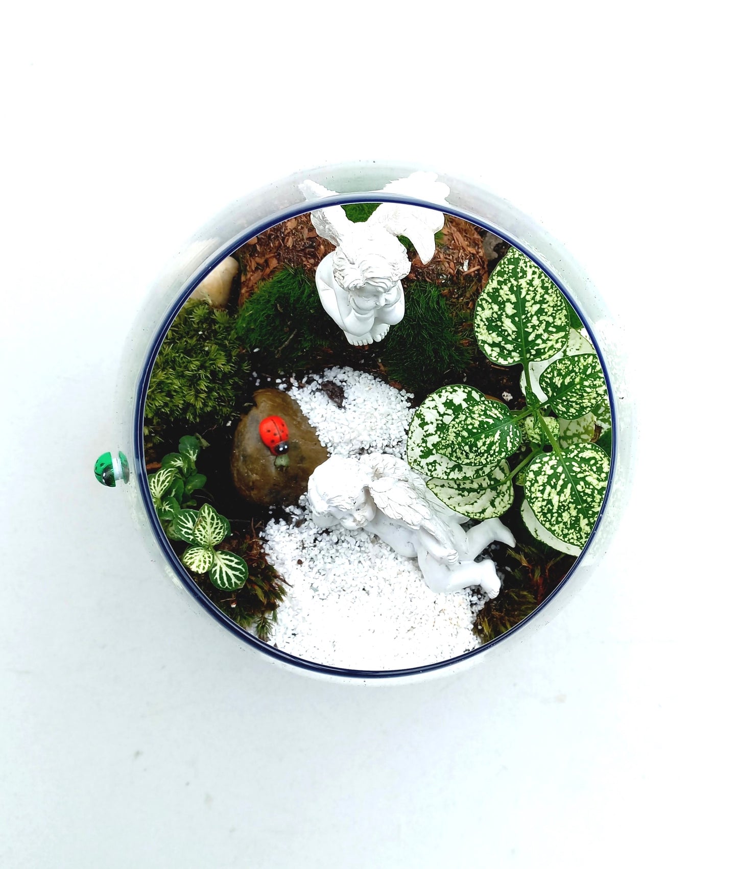 Charming Cherub Terrarium