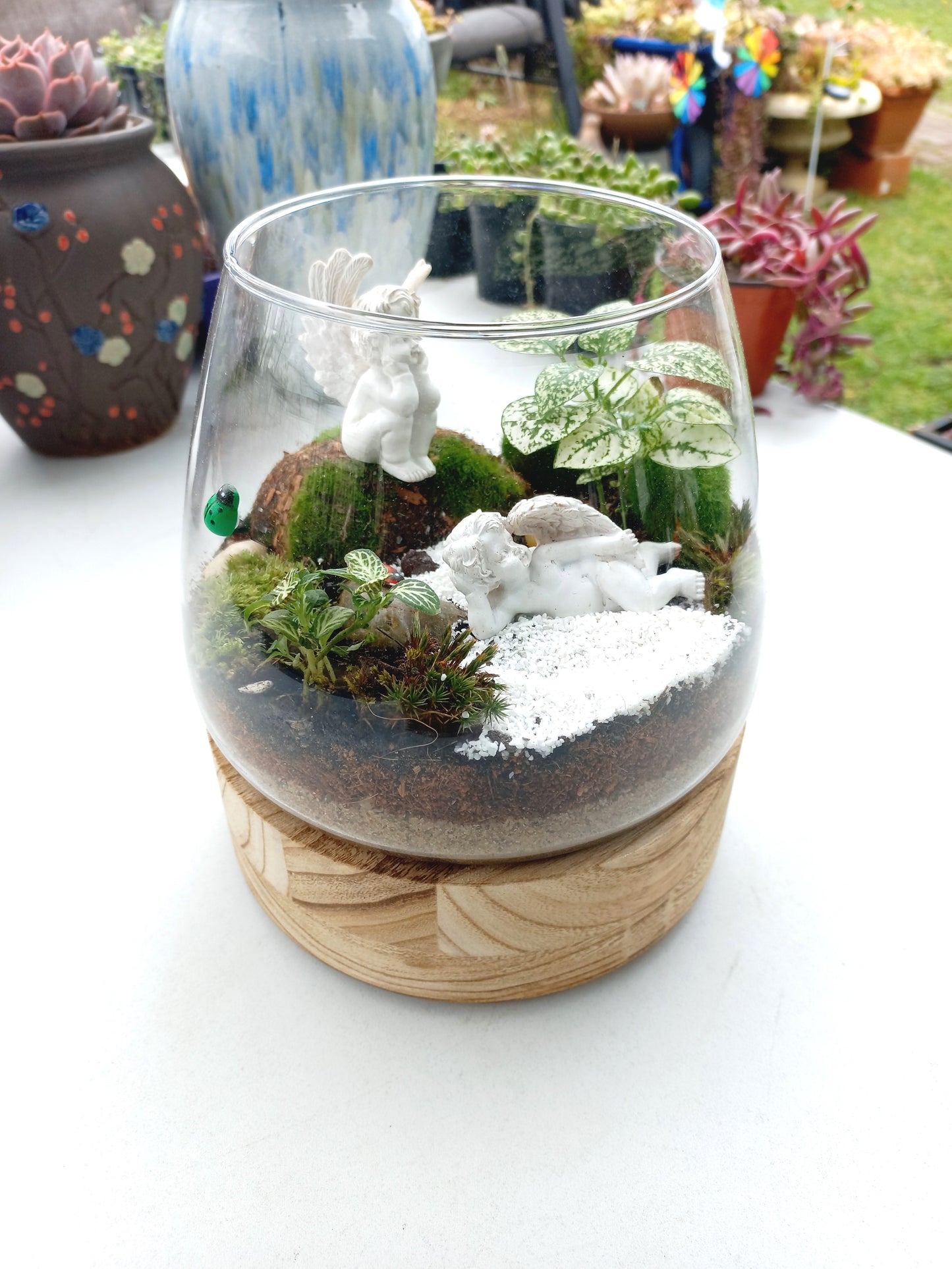 Charming Cherub Terrarium