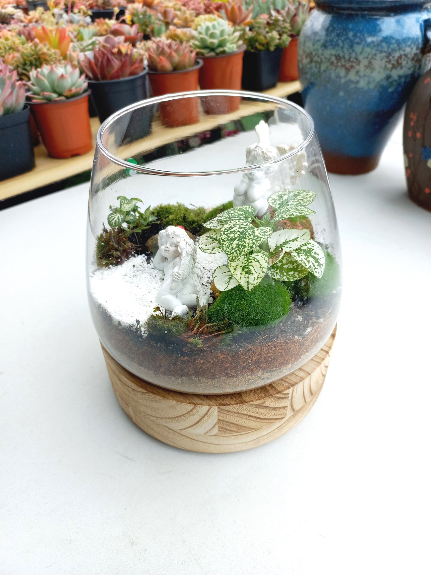 Charming Cherub Terrarium