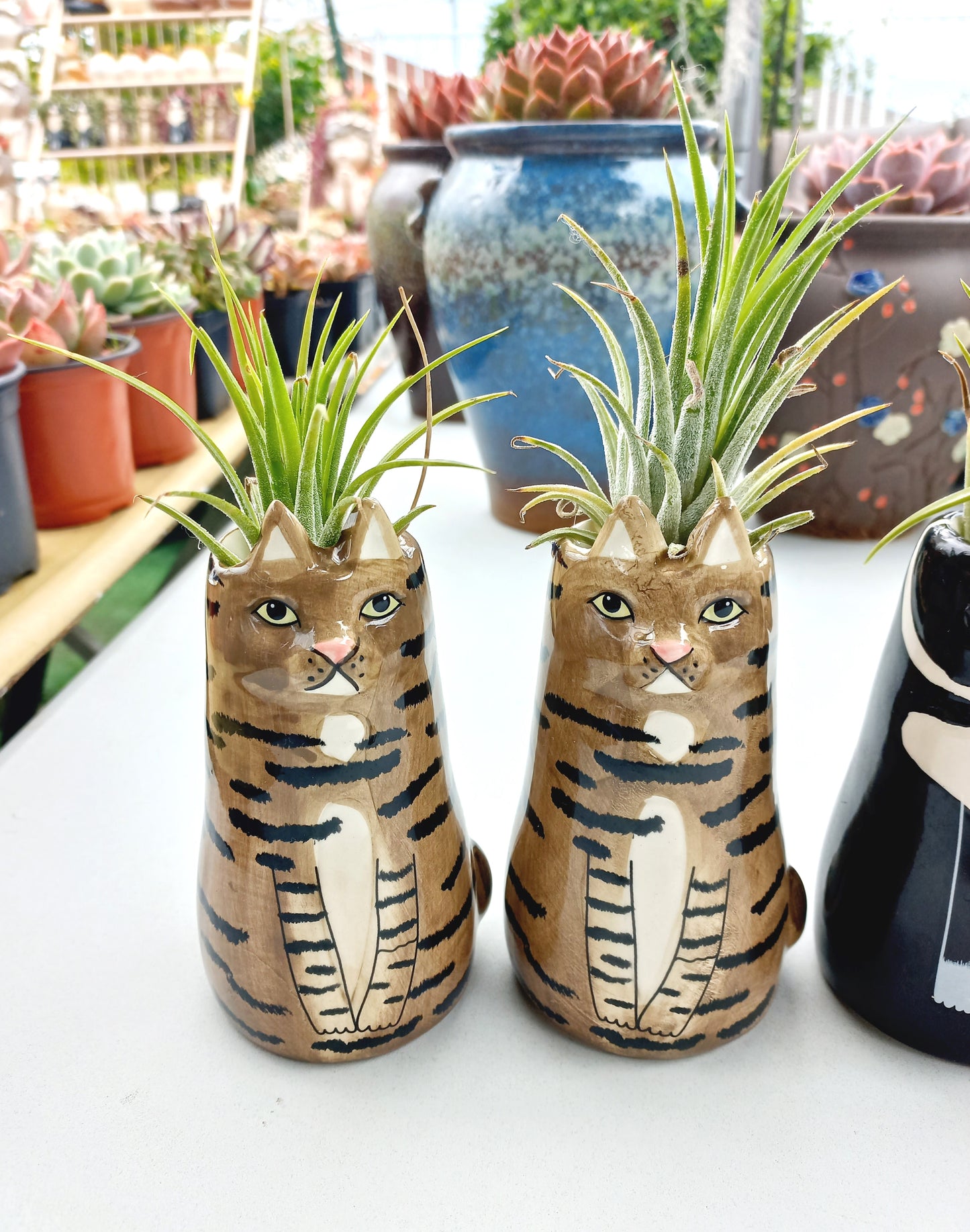 Sitting Cat pot with vibrant Fresh Air plants - For Pet lovers❤️