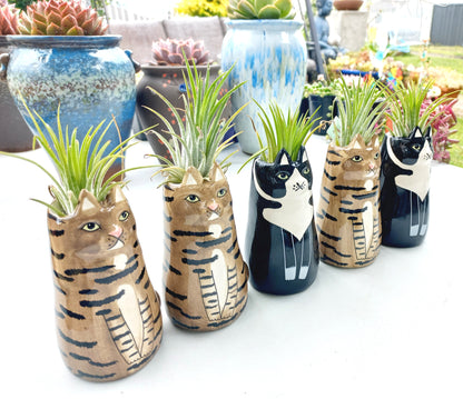 Sitting Cat pot with vibrant Fresh Air plants - For Pet lovers❤️