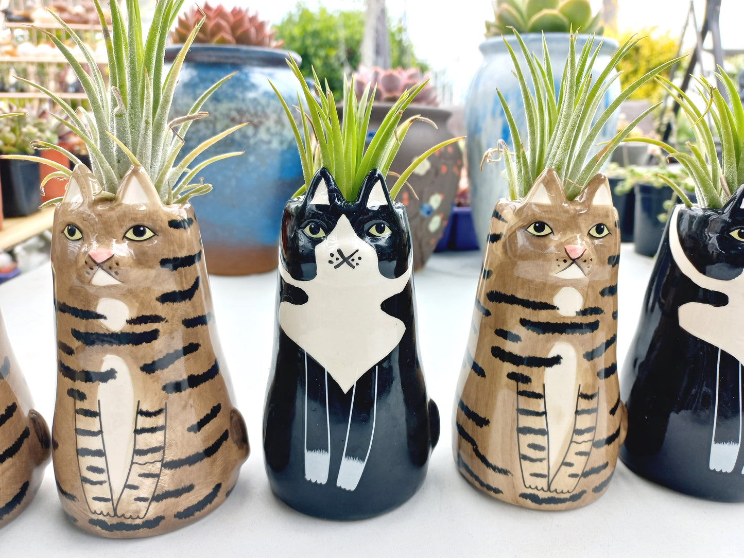 Sitting Cat pot with vibrant Fresh Air plants - For Pet lovers❤️